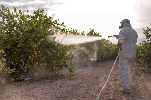 Best Residential Pest Control  in Gambier, OH