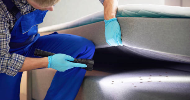 Best Affordable Pest Control Services  in Gambier, OH
