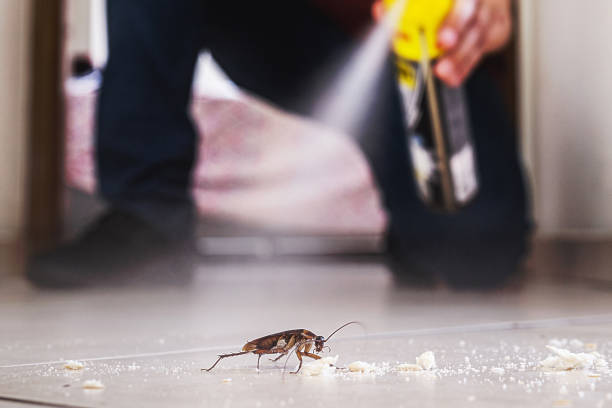 Pest Control Cost in Gambier, OH